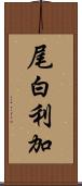 尾白利加 Scroll