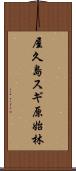 屋久島スギ原始林 Scroll