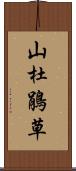 山杜鵑草 Scroll