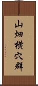 山畑横穴群 Scroll