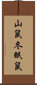 山鼠 Scroll