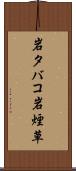 岩タバコ Scroll