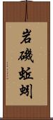 岩磯蚯蚓 Scroll