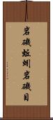 岩磯蚯蚓 Scroll