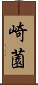 崎薗 Scroll