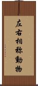 左右相称動物 Scroll