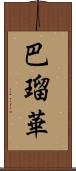 巴瑠華 Scroll