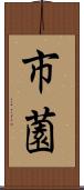 市薗 Scroll