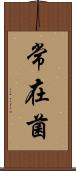 常在菌 Scroll