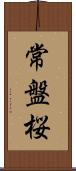 常盤桜 Scroll