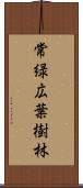 常緑広葉樹林 Scroll