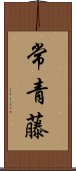 常青藤 Scroll