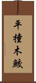 平撞木鮫 Scroll