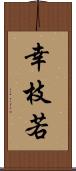 幸枝若 Scroll