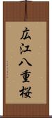 広江八重桜 Scroll