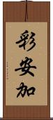 彩安加 Scroll