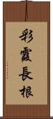 彩霞長根 Scroll