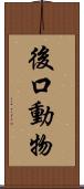 後口動物 Scroll