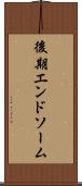 後期エンドソーム Scroll
