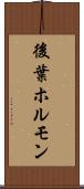 後葉ホルモン Scroll