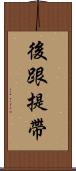 後跟提帶 Scroll