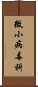 微小病毒科 Scroll