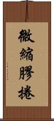 微縮膠捲 Scroll