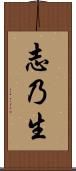 志乃生 Scroll