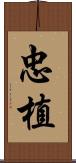 忠植 Scroll