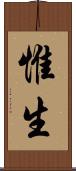 惟生 Scroll