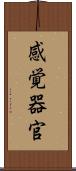 感覚器官 Scroll