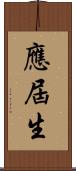 應屆生 Scroll