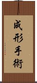 成形手術 Scroll