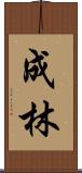 成林 Scroll