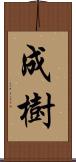 成樹 Scroll