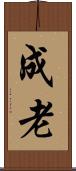 成老 Scroll