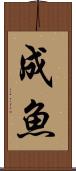 成魚 Scroll