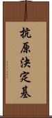 抗原決定基 Scroll