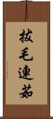 拔毛連茹 Scroll