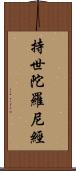 持世陀羅尼經 Scroll