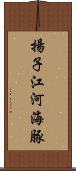 揚子江河海豚 Scroll