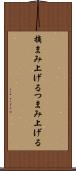 摘まみ上げる Scroll