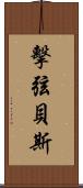 擊弦貝斯 Scroll