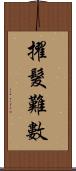 擢髮難數 Scroll