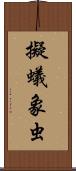 擬蟻象虫 Scroll