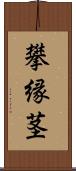 攀縁茎 Scroll