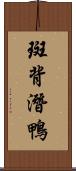 斑背潛鴨 Scroll