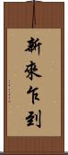 新來乍到 Scroll