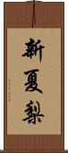 新夏梨 Scroll