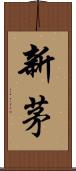 新茅 Scroll